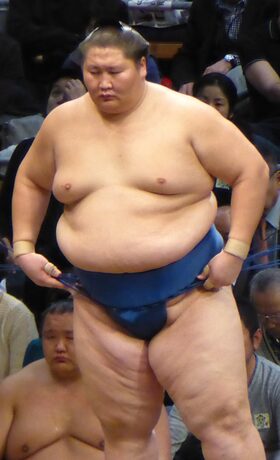 Ichinojō (2017) sumo wrestler