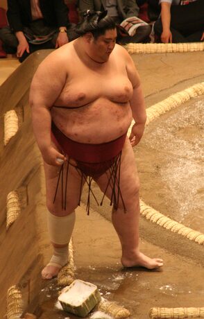 Yamamotoyama (2009) sumo wrestler