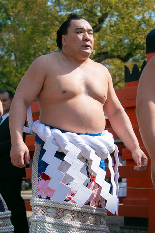 Harumafuji Kohei, 70th Yokozuna, March 2017