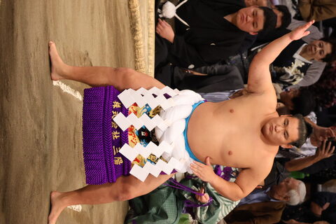 Hoshoryu Tomokatsu at the November 2025 Grand Sumo Tournament