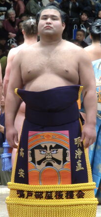 Takayasu sumo wrestler