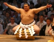 Onosato